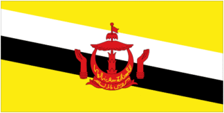 Brunei - Flag