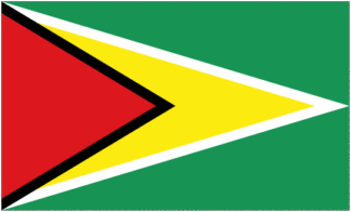 Guyana - Flag