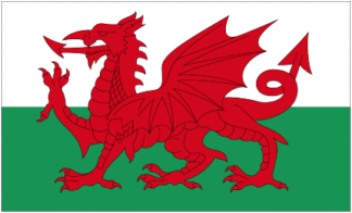 Welsh Dragon - Flag